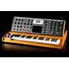 Архив MOOG Minimoog Voyager Performer Edition (товар снят с производства)